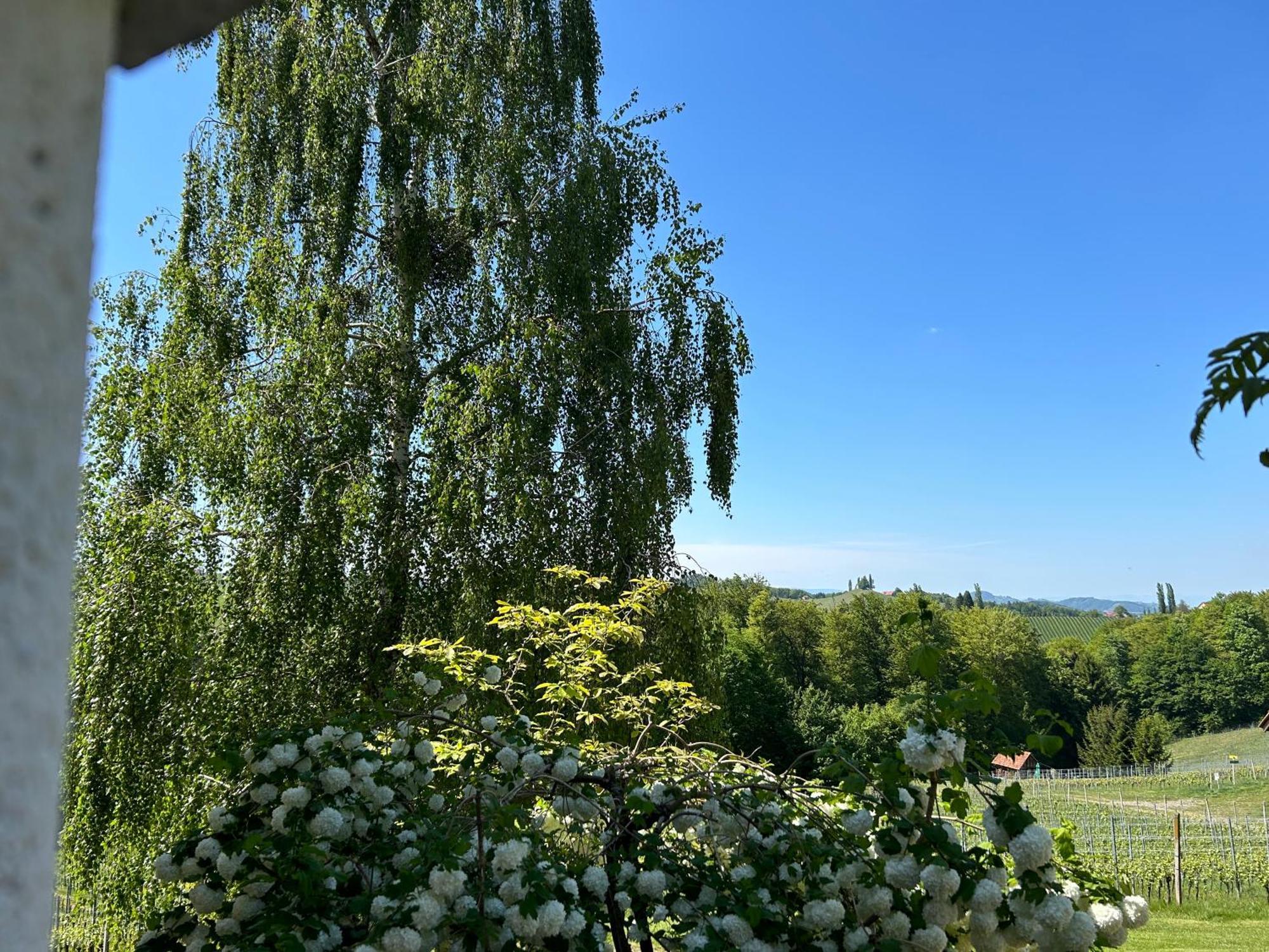 Haus-Eckberg 101 Hotel Gamlitz Bagian luar foto